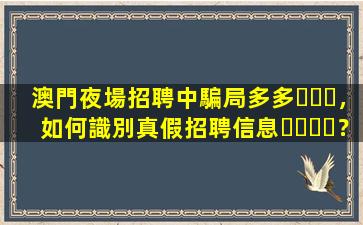 慶陽酒吧招聘